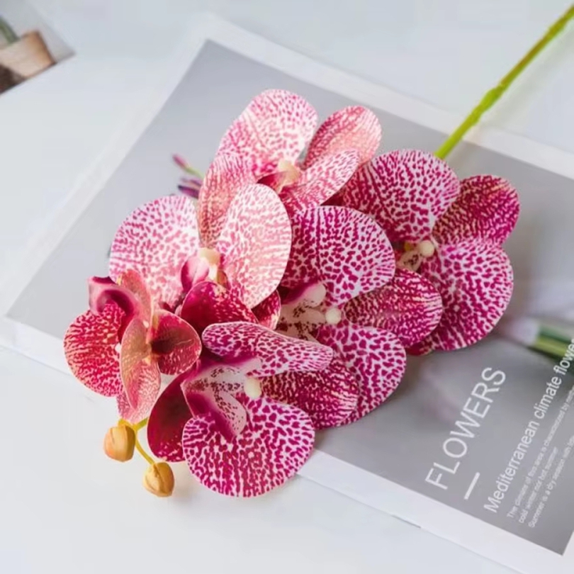 3D ประดิษฐ์ดอกไม้พลาสติก Butte - Smart Garden Storage บทวิจารณ์และราคา