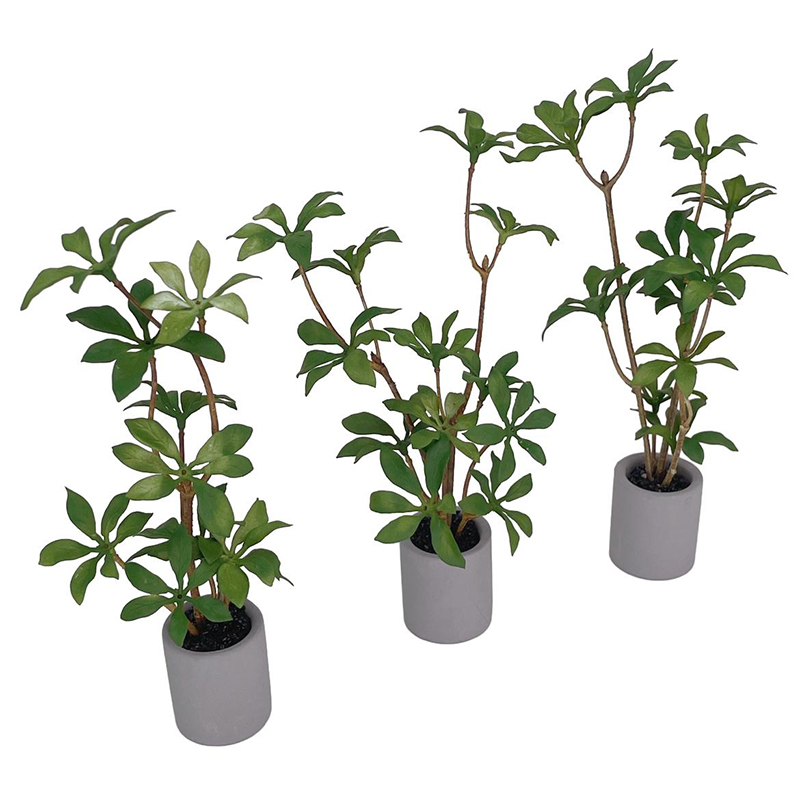 1:6 Dollhouse Miniature กระถาง - Smart Garden Mini บทวิจารณ์และราคา
