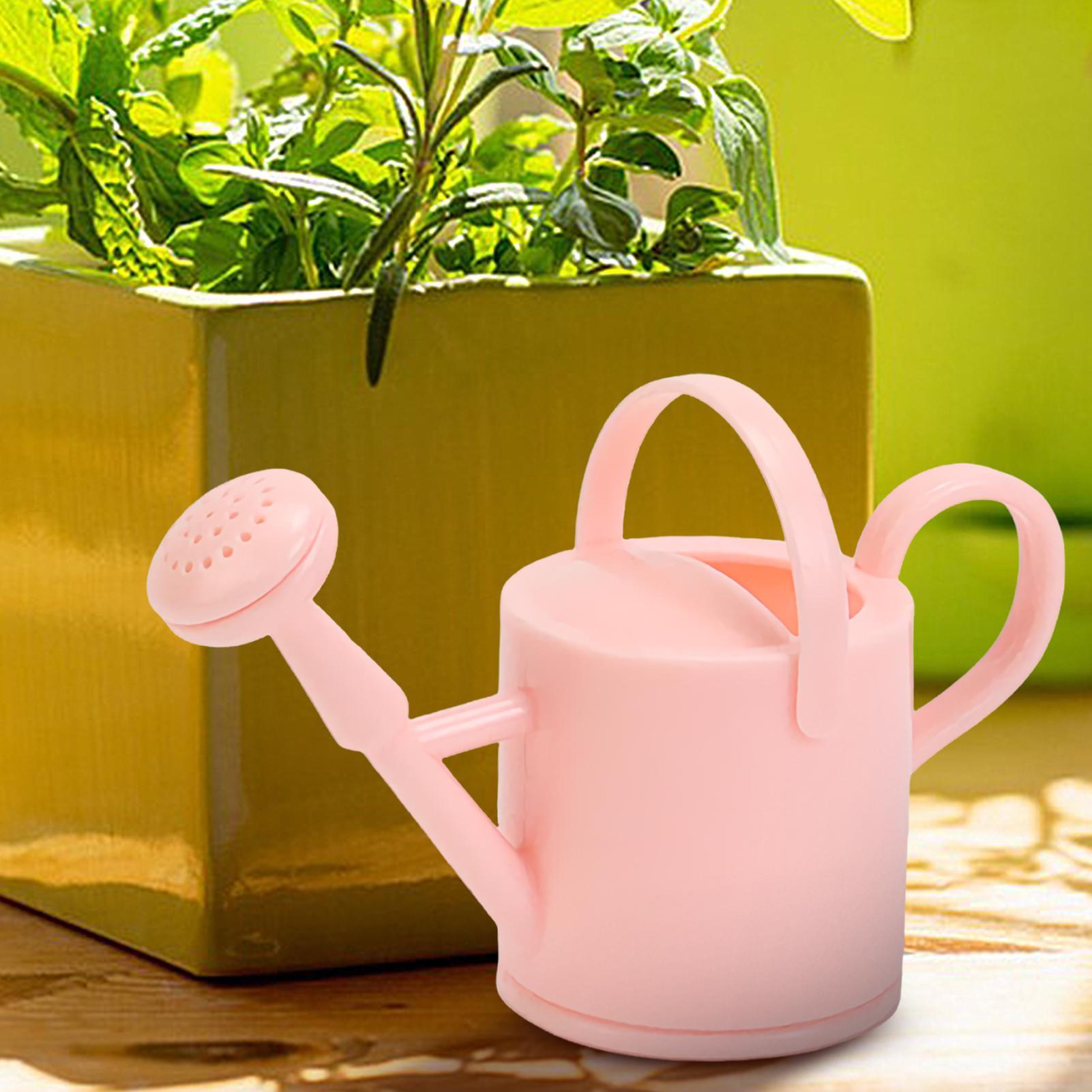 บัวรดน้ำเด็กเล็ก บัวรดน้ำดอกไม - Smart Garden Mini บทวิจารณ์และราคา