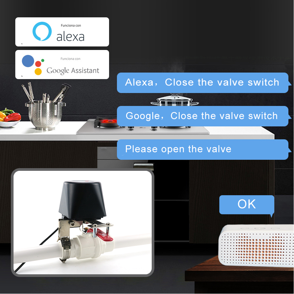 ใช้งานร่วมกับแอป TUYA วาล์วแก๊ - Smart Garden Instructions บทวิจารณ์และราคา