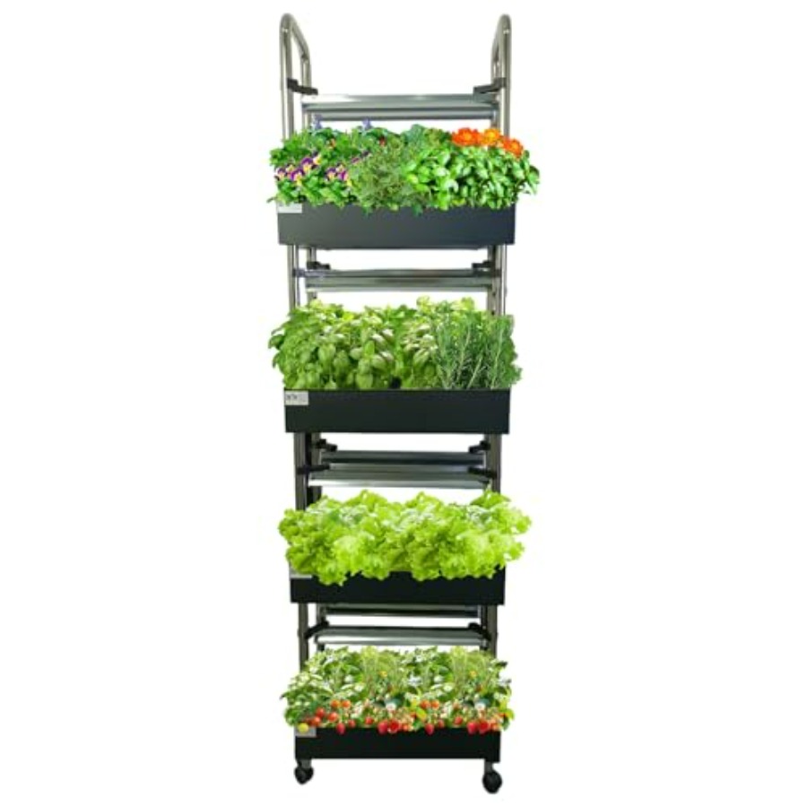 ระบบปลูกพืชไฮโดรโปนิกส์ในร่ม:  - Smart Garden Lighting System บทวิจารณ์และราคา