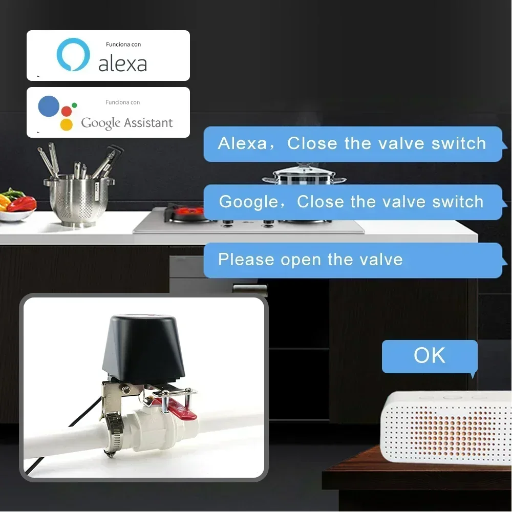 Tuya Zigbee สมาร์ทวาล์วแก๊ส WI - Smart Garden Instructions บทวิจารณ์และราคา