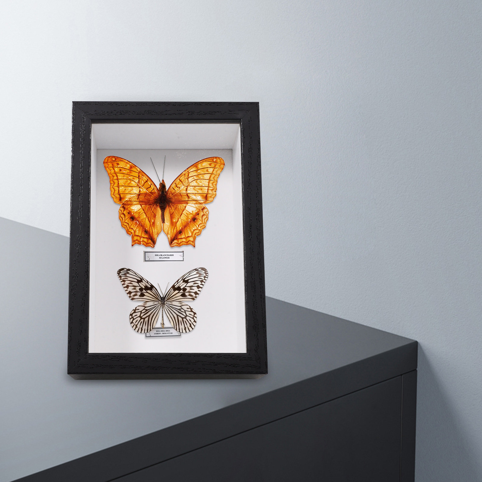 กล่องใส่ตัวอย่างแมลงทำมือระดับ - Insect Hotel Wood บทวิจารณ์และราคา